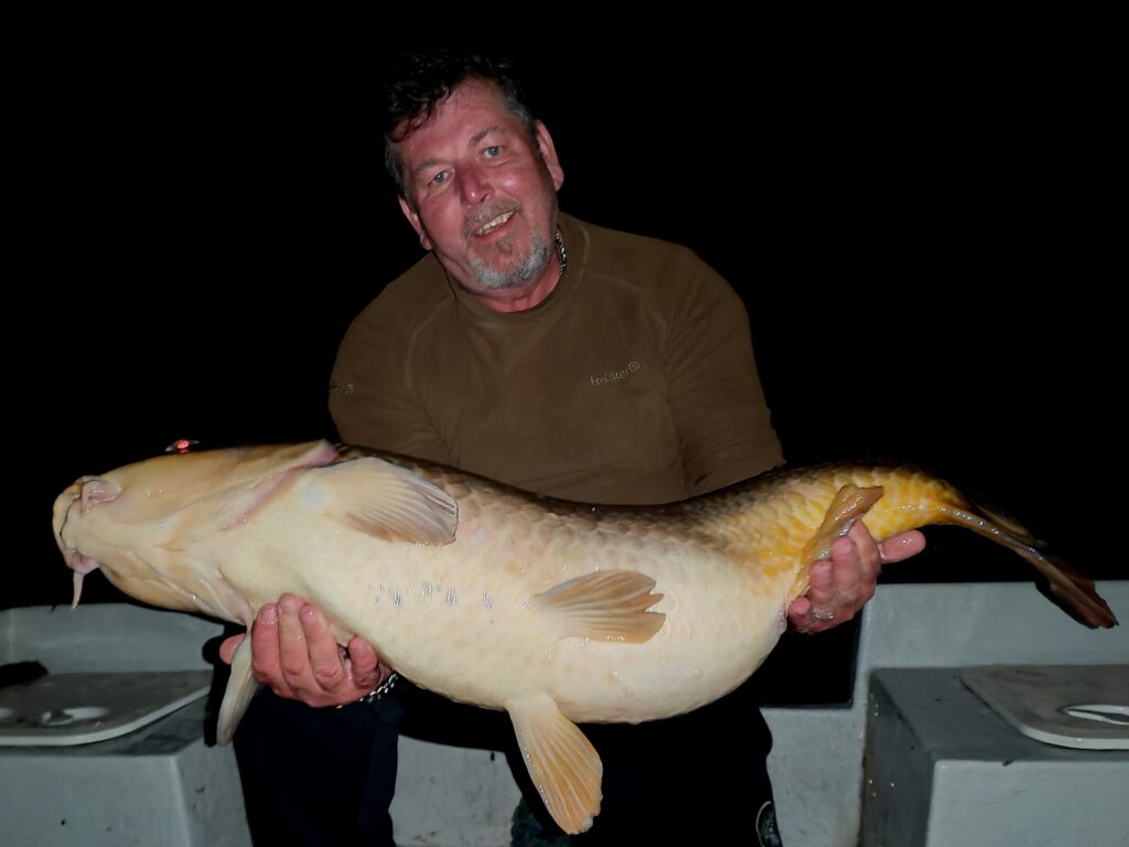 Kapr-z-vltavy-02-1024x768