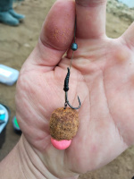 1_IMG-20250226-WA0000-1152x1536_small