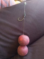 1_IMG-20250226-WA0004-1-edited_small