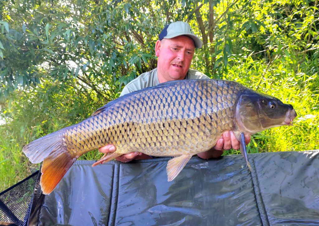 IMG_20240729_165446_edit_55483495726280-1024x725