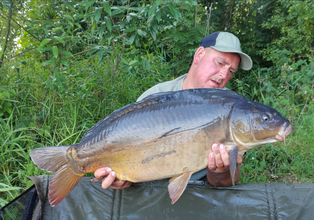 IMG_20240729_182150_edit_60773715694523-1024x718