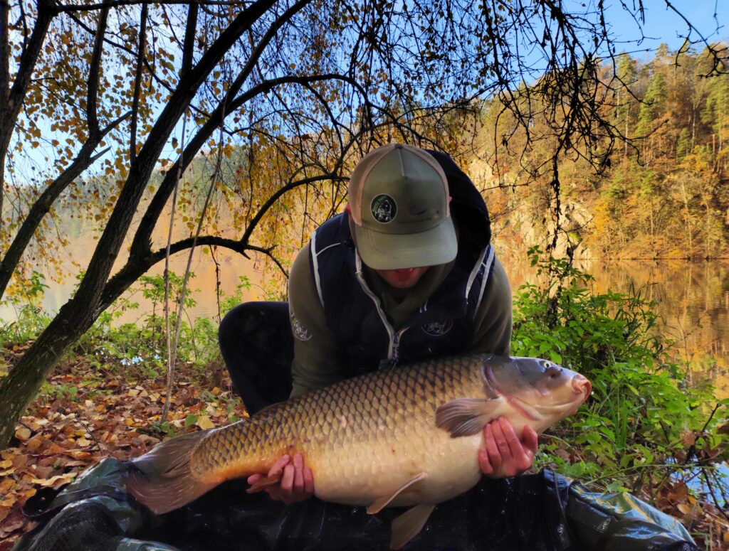 IMG_20241116_083713_DRO-1024x775