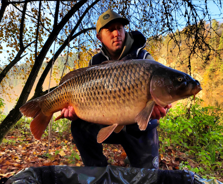 IMG_20241116_083937_DRO_edit_89854986033950