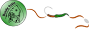 Handybaits.cz
