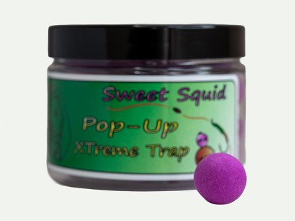 ssweet squid popup