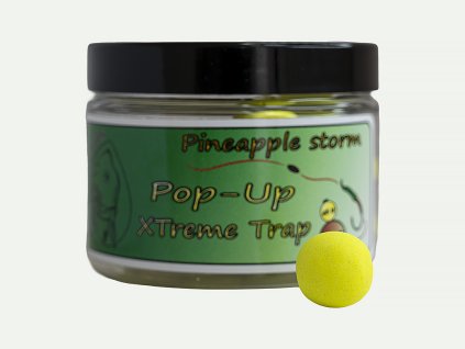 PineappleStormPopUp