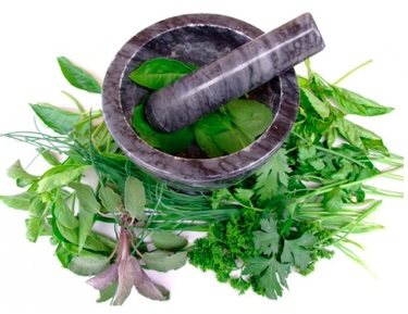 5 großartige Heilkräuter, die gut mit Hanf wirken