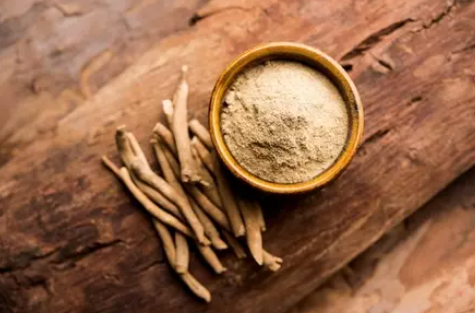 Ashwagandha und seine Wirkung - Entdecken Sie das Wunderkraut!