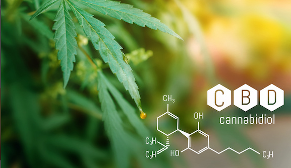 CBD hilft im Alltag – 7 Vorteile von CBD Produkten für Gesundheit und Wohlbefinden