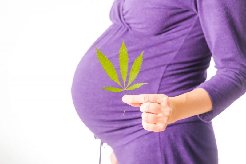 CBD Verwendung in der Schwangerschaft