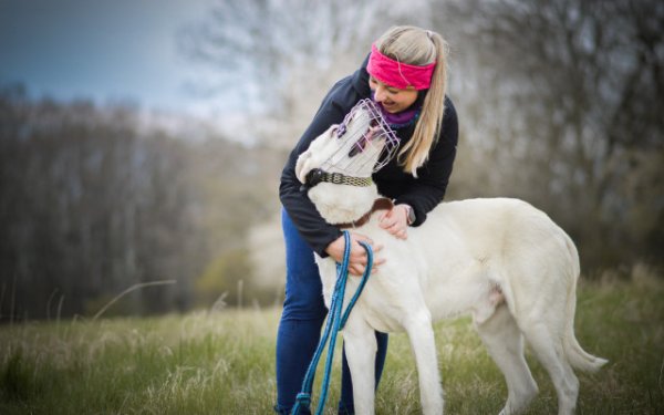 CBD hilft dem aggressiven Max im Tierheim