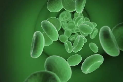CBD und seine Bioverfügbarkeit