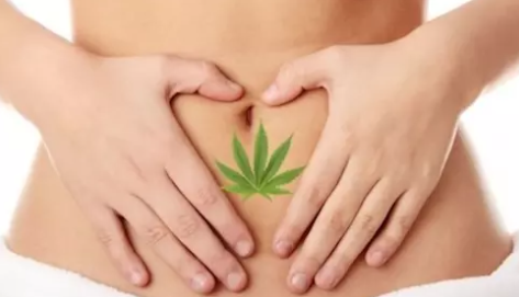 CBD zeigt das Potenzial zur Verringerung von entzündlichen Darmerkrankungen