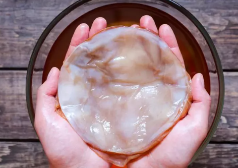Hanf Kombucha und wie man es braut?
