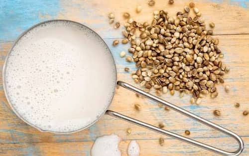 Hanfmilch und ihre 5 bewährte Vorteile