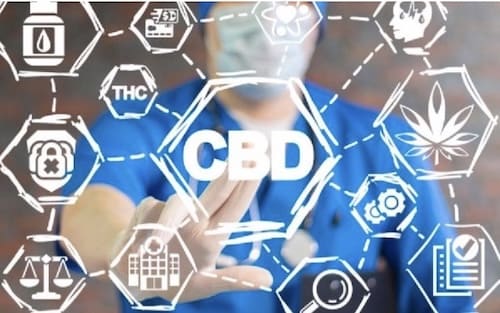 Kann man eine CBD-Toleranz aufbauen?