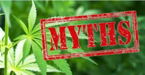 Mythen und Fakten über CBD