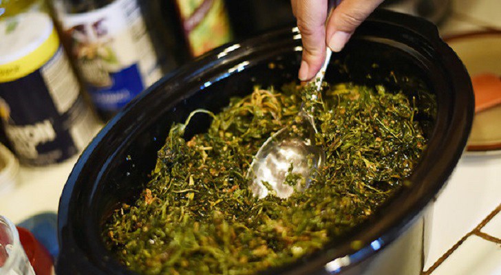 Hausgemachtes Hanfextrakt von Rick Simpson