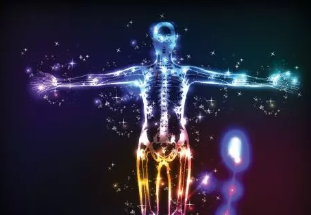 Was ist das Endocannabinoid System?