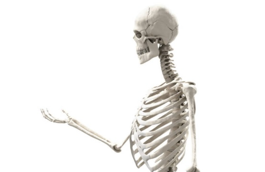 Wissenschaftler entdeckten, wie CBD auf unsere Knochen wirkt