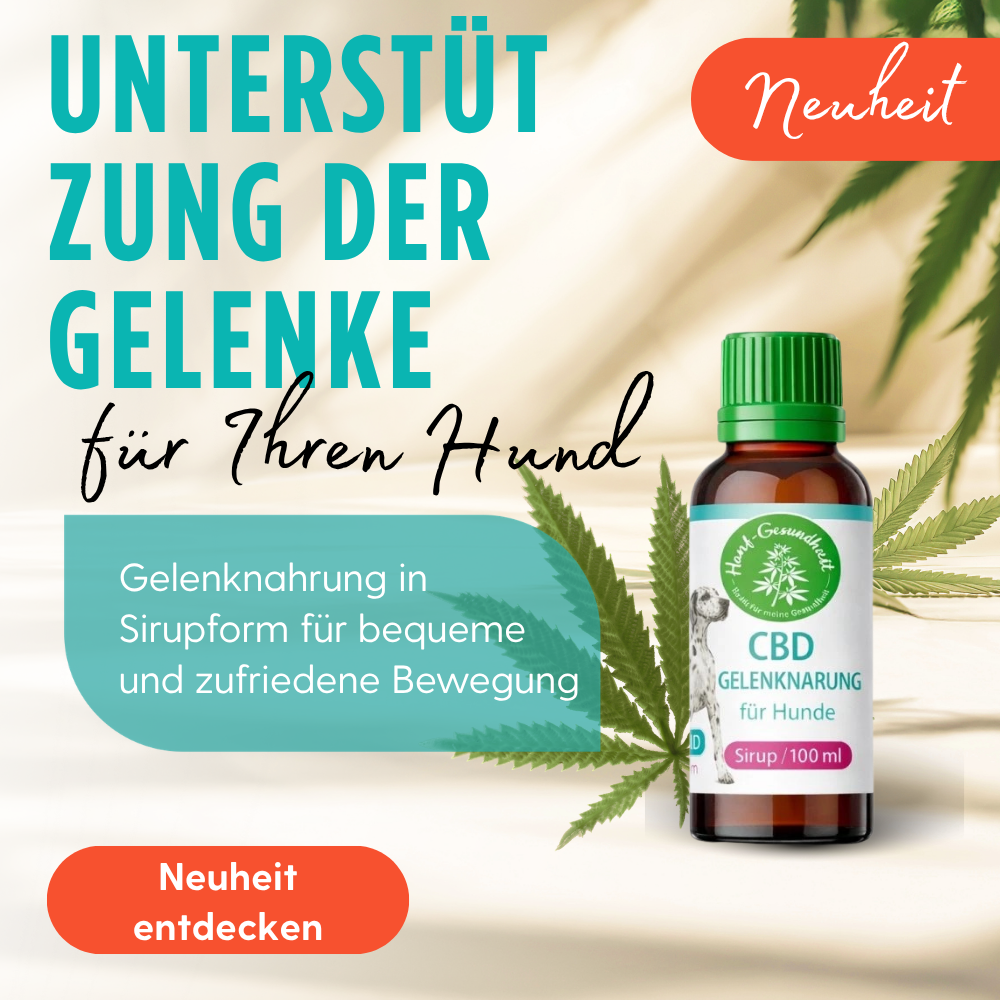 Unterstützen Sie die Gelenke Ihres Hundes!