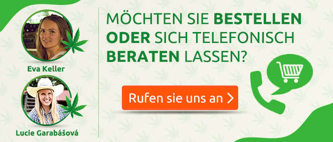 Hanfberatung