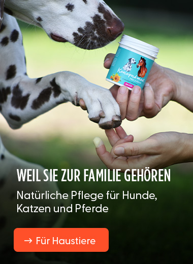 Weil sie zur Familie gehören