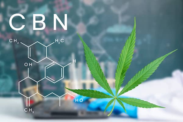 Was ist CBN? CNB Verbindung