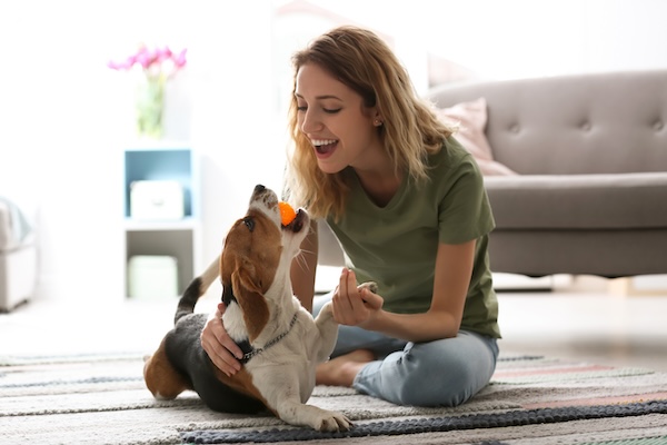 ein_glücklicher_hund