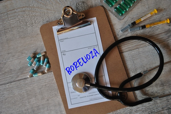 borreliose_1