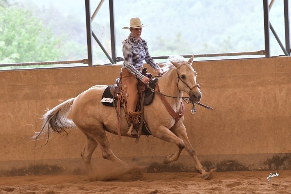western_lucka