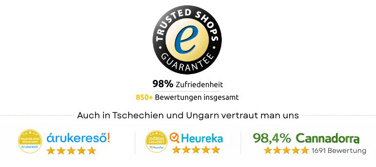 kunden-bewerten-uns-regelmäßig