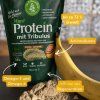 Hanfprotein-EXTRA-mit-Erd-Burzenkraut