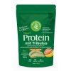 Hanfprotein EXTRA mit Erd-Burzenkraut 500 g