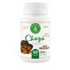 Chaga kapsules