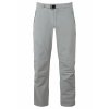 Comici Pant Men's (Size L, Color Mudstone)