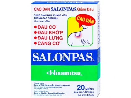 00017084 cao dan salonpas 20 mieng 65cm x 42cm 6443 5f9b large e5d308c2f5