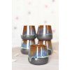 EARTH 200ml