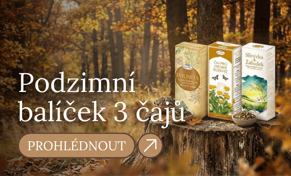 Podzimní čaje
