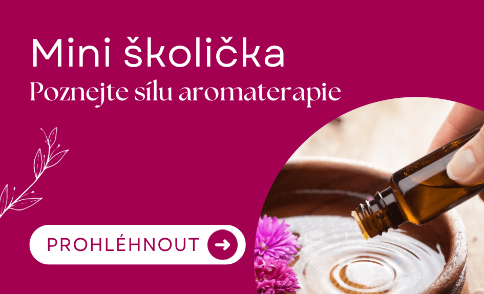 Školení a semináře