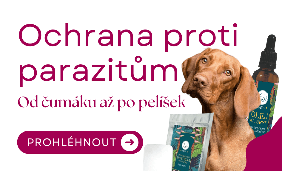 Ochrana proti parazitům