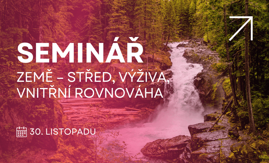 Školení a semináře