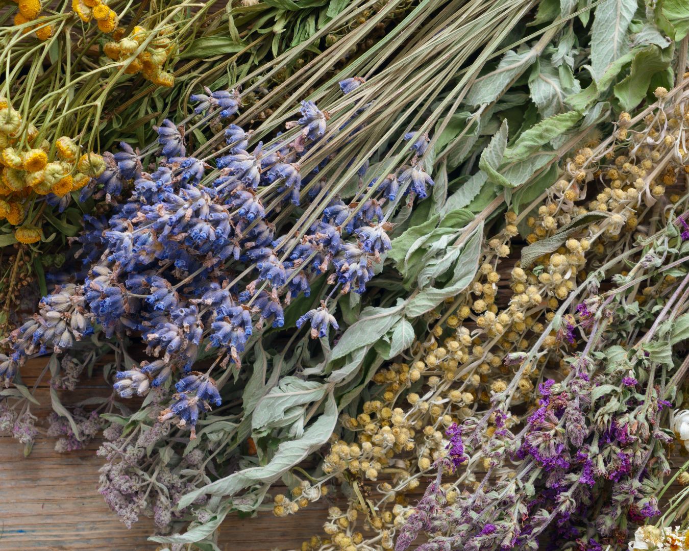 Domácí wellness workshop