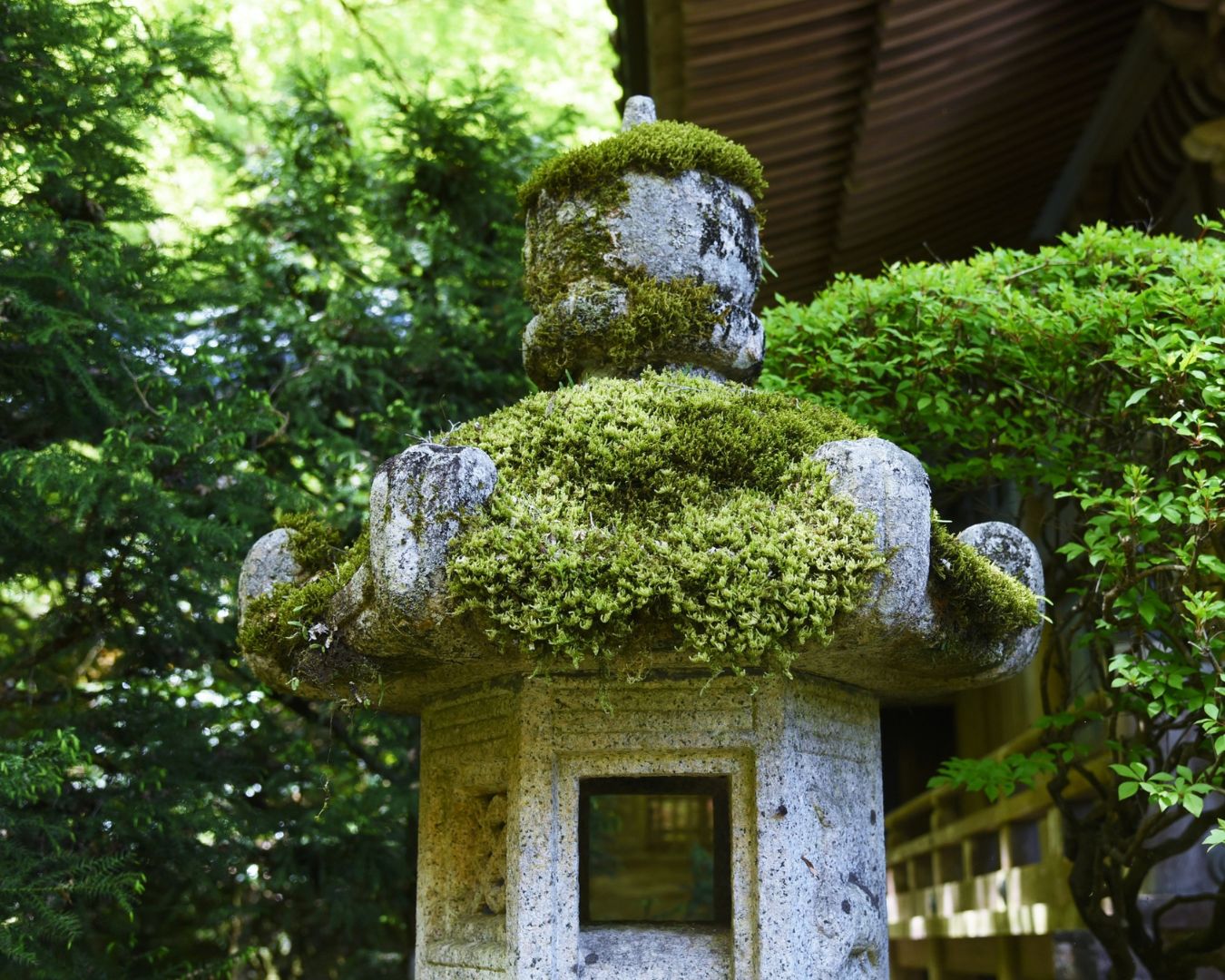 Wabi-Sabi