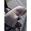 pol pl Mufka do wozka BARANEK boucle 2429 2