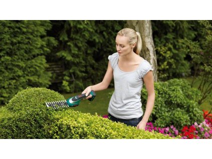 BOSCH ASB 10,8 LI