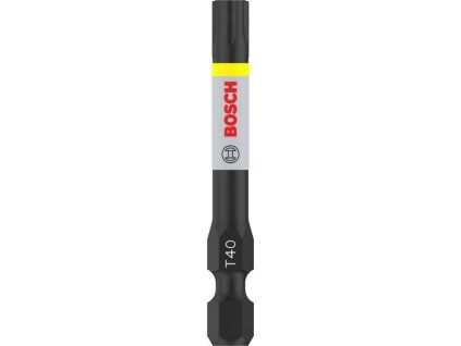 Bosch Bit PRO Torx Impact, T40, 55 mm, 2 ks (2608522533)