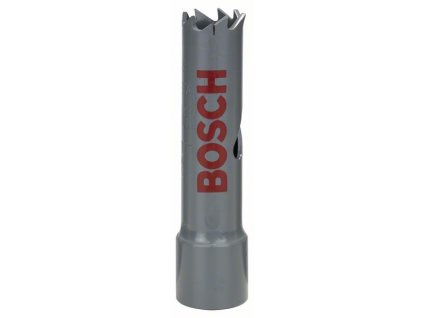 BOSCH Děrovka HSS-bimetal pro standardní adaptér Professional