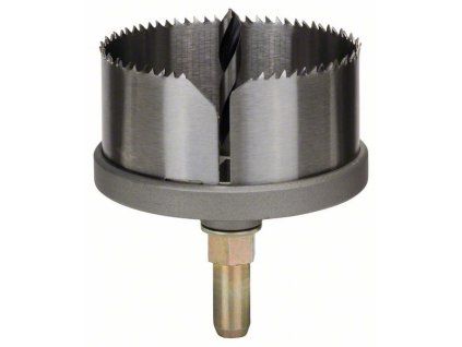 Bosch Ozubený věnec (2608584139)