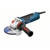 BOSCH GWS 17-150 CI Professional (060179K002)